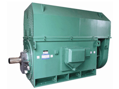 白塔Y系列6KV高压电机